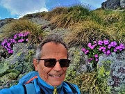 03 Selfie con la Primula hirsuta (Primula irsuta)